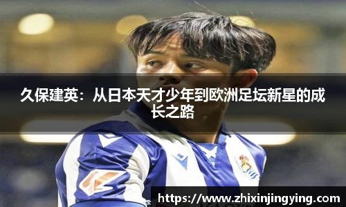 BB贝博登录入口
