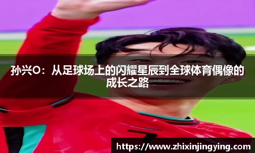 BB贝博登录入口