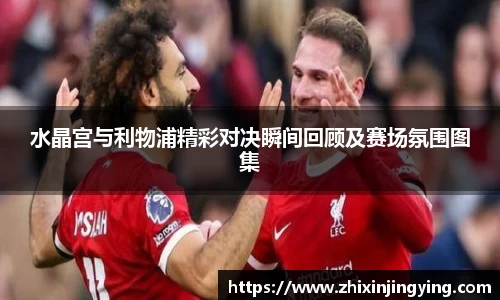水晶宫与利物浦精彩对决瞬间回顾及赛场氛围图集