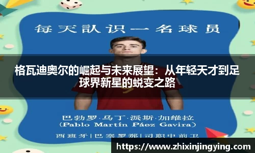 BB贝博
