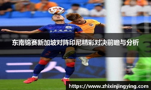 东南锦赛新加坡对阵印尼精彩对决前瞻与分析