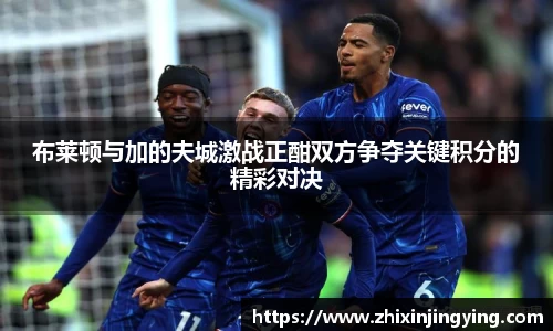 BB贝博登录入口