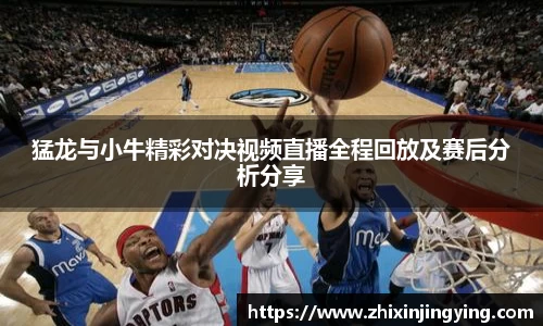 BB贝博ballbet