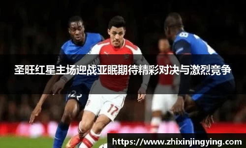 BB贝博
